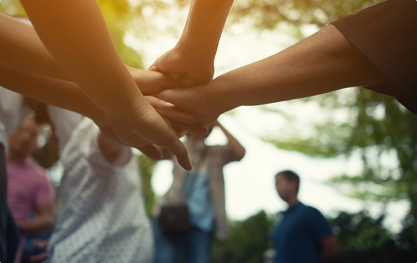 Inside the Collective: How Connection Fuels Performance